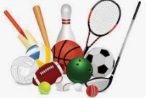 Rodrigo clicks on the Sports subject in the Topic Browser