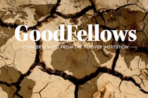 The topic branch is shown here